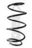 SPIDAN 85567 Coil Spring